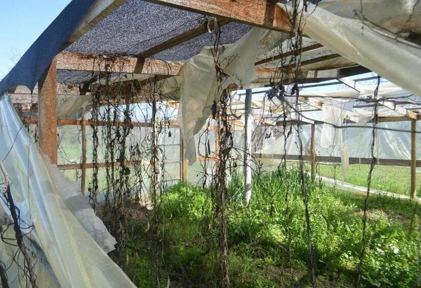 فندق صغير Coyunche Cabañas Y Camping Laja & San Rosendo