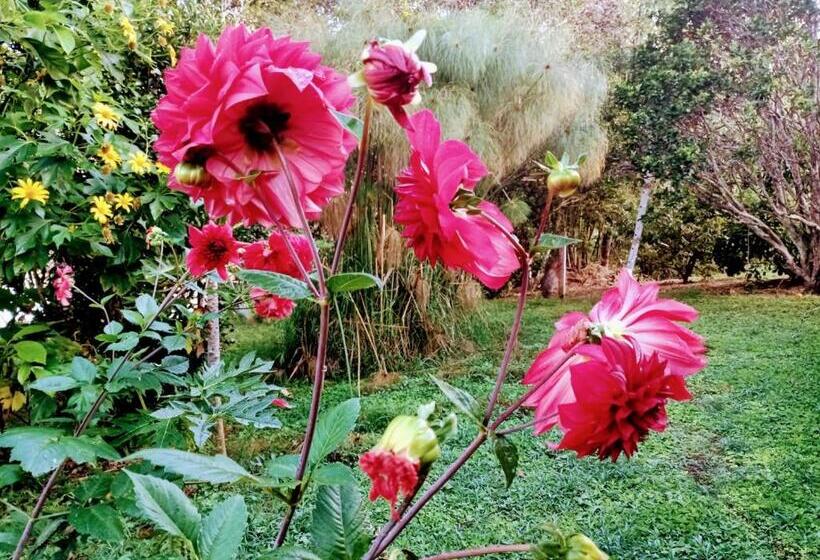 Hostel Ecoposada Viña De Aldana