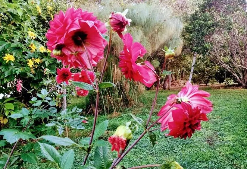 ユースホステル Ecoposada Viña De Aldana
