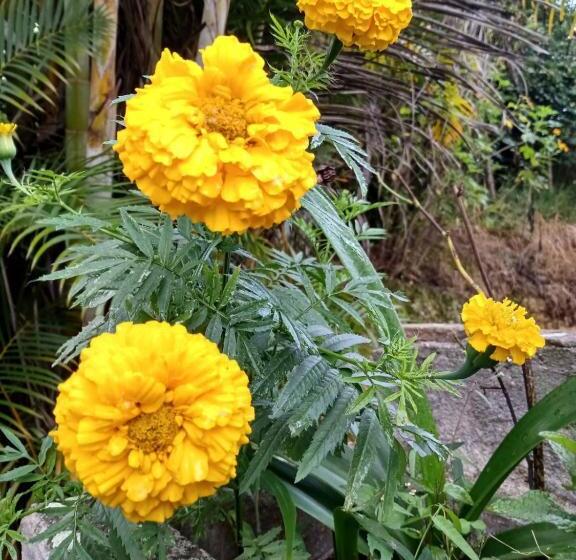 Hostel Ecoposada Viña De Aldana