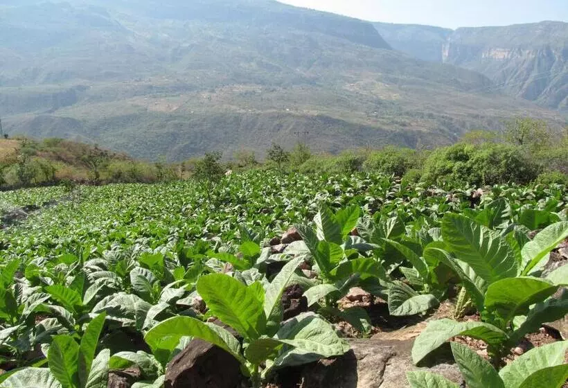 ユースホステル Ecoposada Viña De Aldana