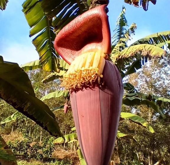 Hostel Ecoposada Viña De Aldana