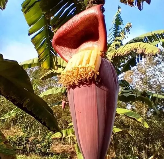 ユースホステル Ecoposada Viña De Aldana