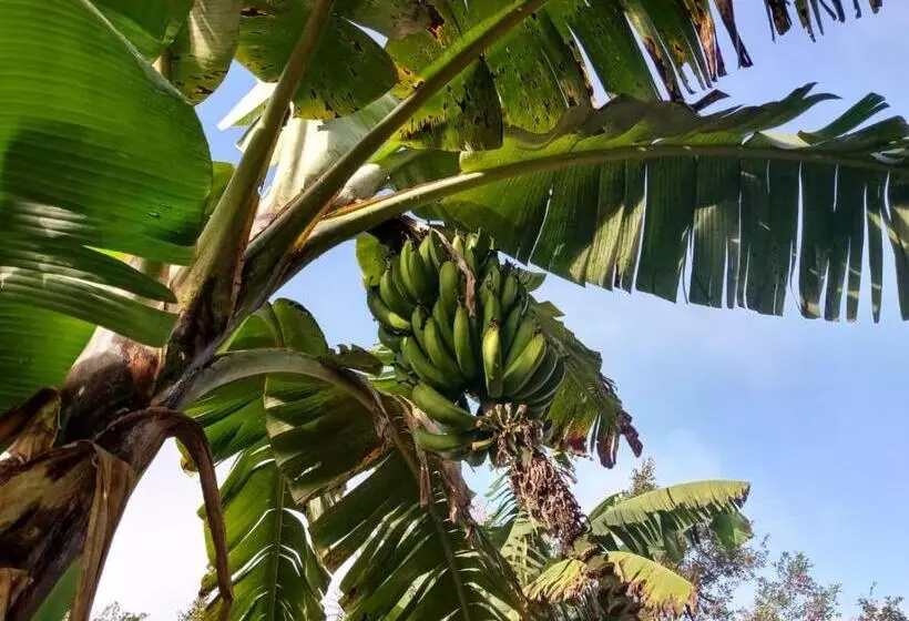 ユースホステル Ecoposada Viña De Aldana