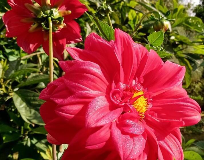 Hostel Ecoposada Viña De Aldana