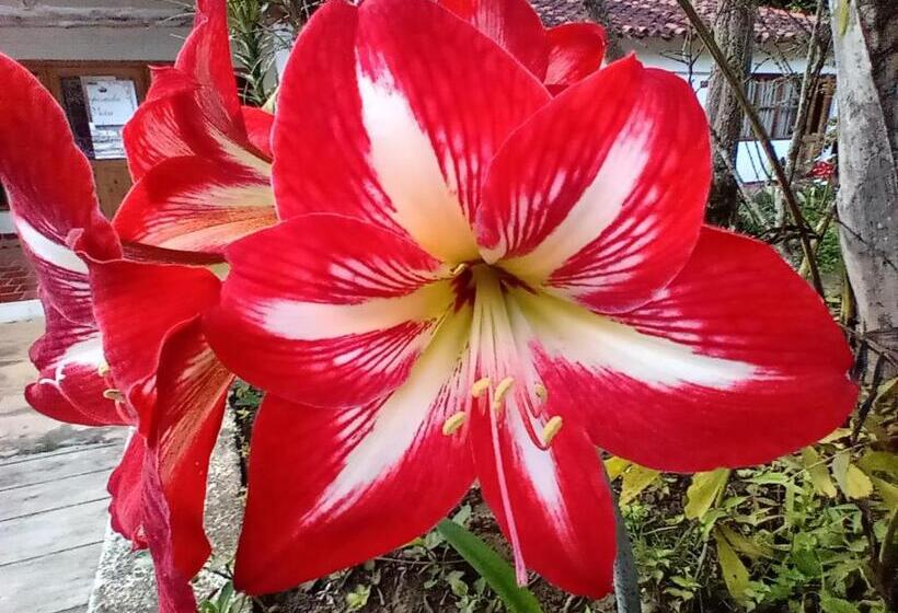 Hostel Ecoposada Viña De Aldana