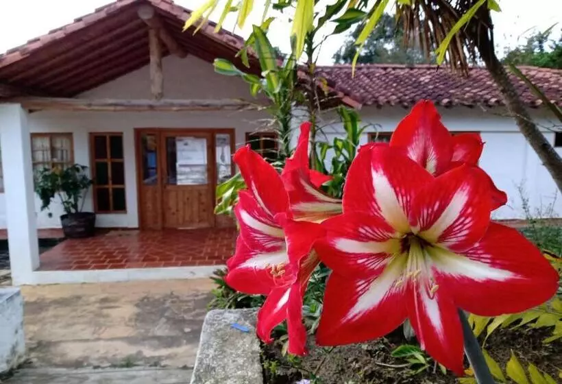 ユースホステル Ecoposada Viña De Aldana