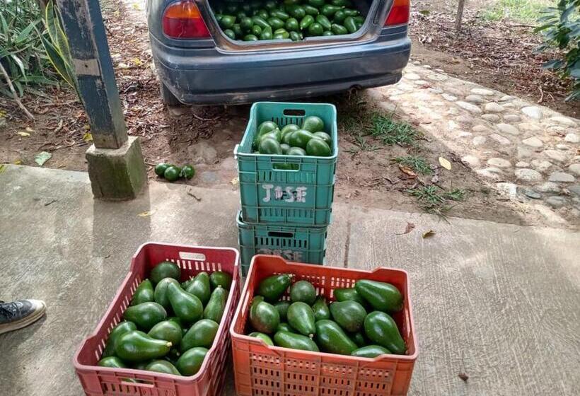 Hostel Ecoposada Viña De Aldana