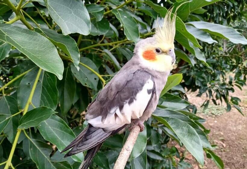 Hostel Ecoposada Viña De Aldana