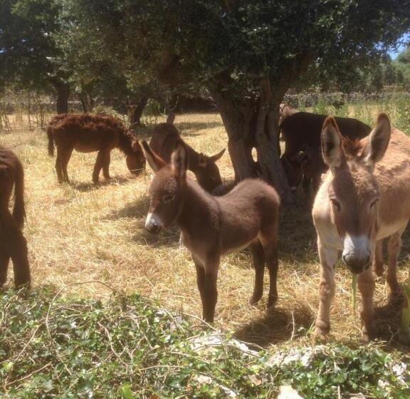 B&b Masseria Nuove Caselle