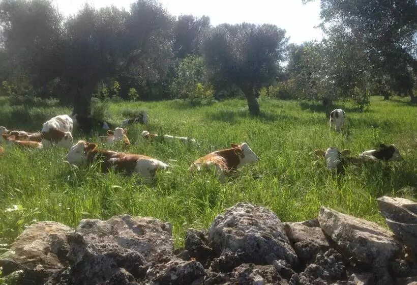 B&b Masseria Nuove Caselle