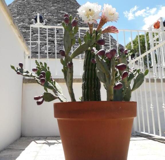 B&b Masseria Nuove Caselle