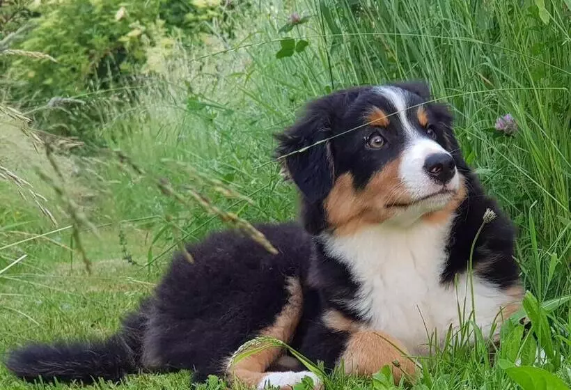 Aamiaismajoitus (B&B) Bnb Mönthal Im Jurapark