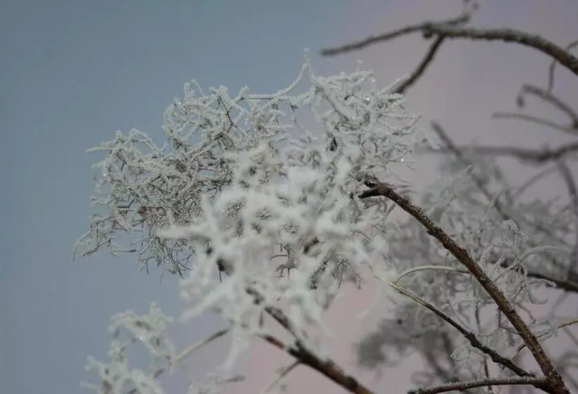 Aamiaismajoitus (B&B) Bnb Mönthal Im Jurapark