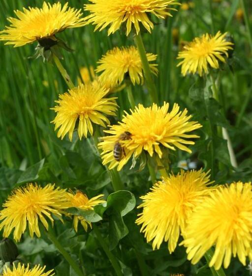 مبيت وإفطار Bnb Mönthal Im Jurapark