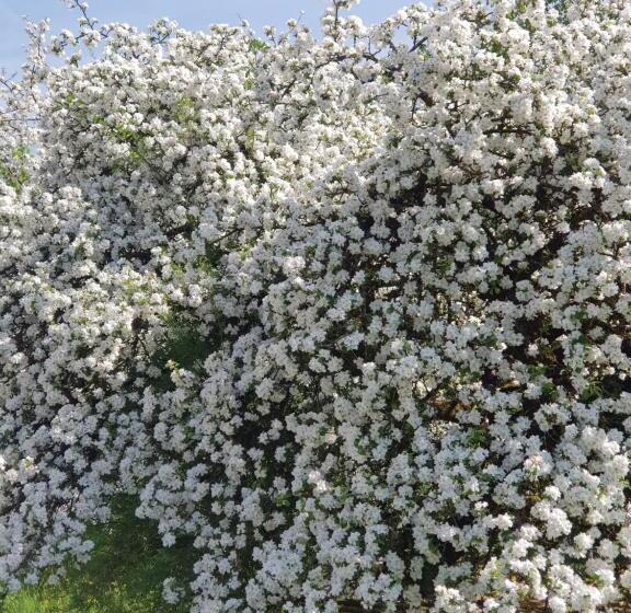 مبيت وإفطار Bnb Mönthal Im Jurapark