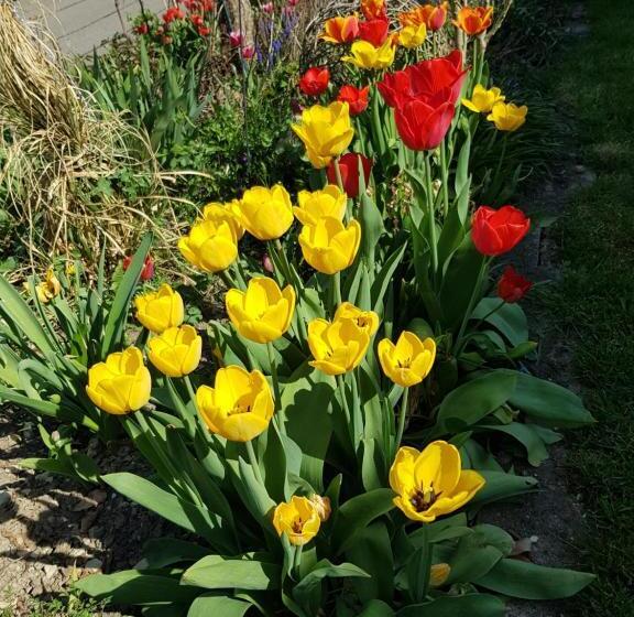 مبيت وإفطار Bnb Mönthal Im Jurapark