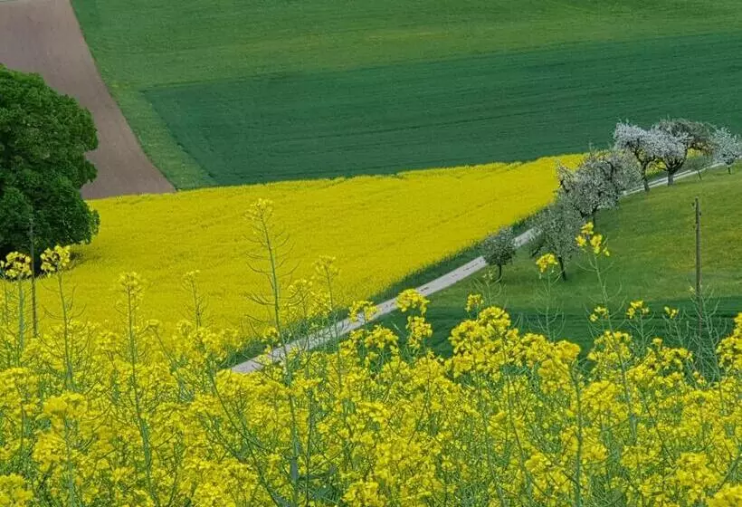 Aamiaismajoitus (B&B) Bnb Mönthal Im Jurapark