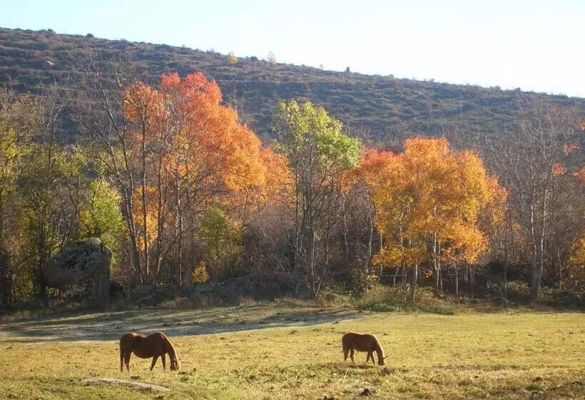 Aamiaismajoitus (B&B) El Balcó De Dorres