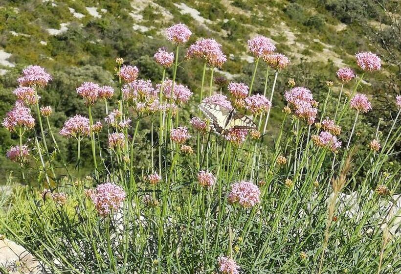 مبيت وإفطار Le Mimosa