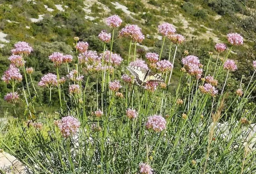 ベッドアンドブレックファースト Le Mimosa