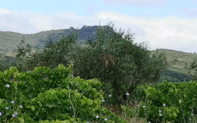 مبيت وإفطار Le Mimosa