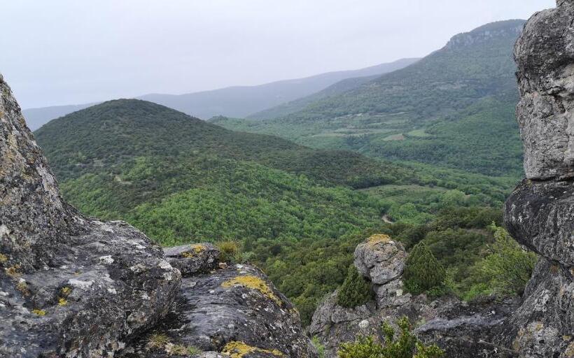 مبيت وإفطار Le Mimosa