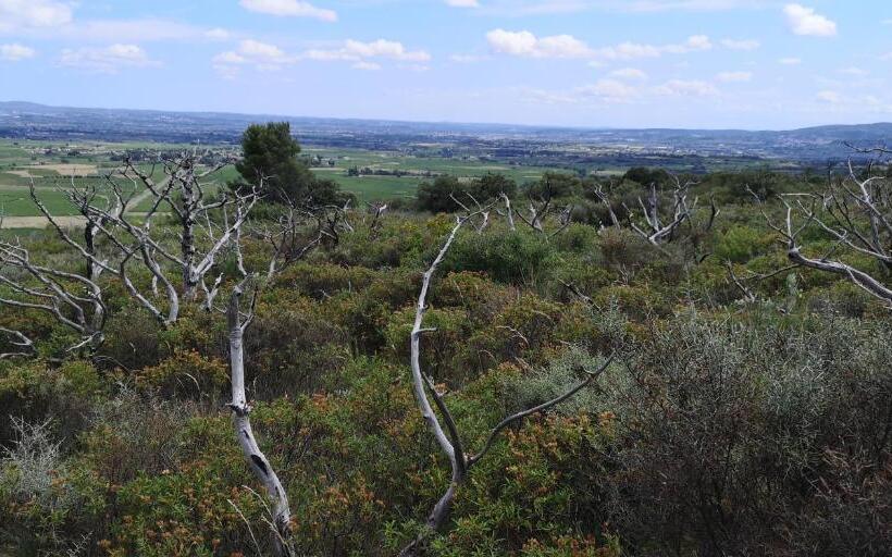 مبيت وإفطار Le Mimosa