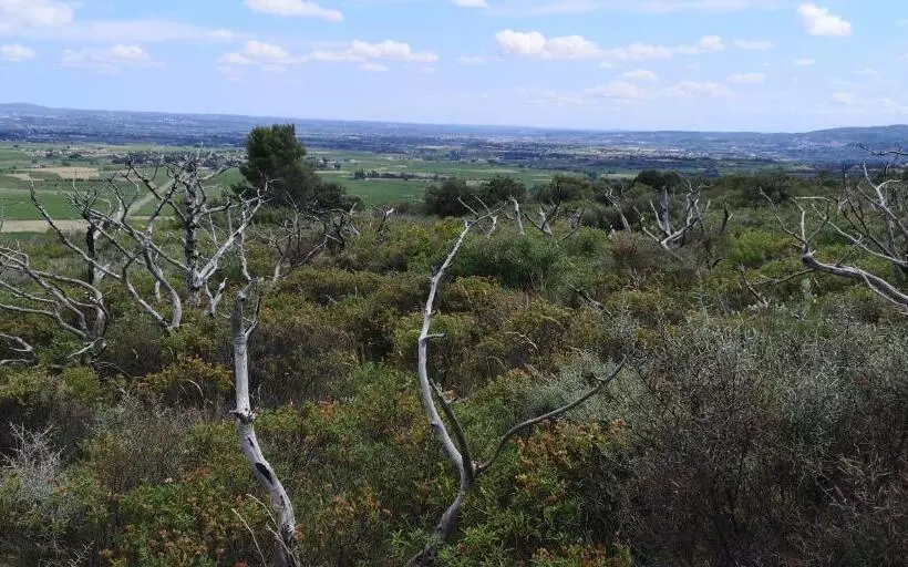 ベッドアンドブレックファースト Le Mimosa