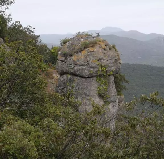 ベッドアンドブレックファースト Le Mimosa