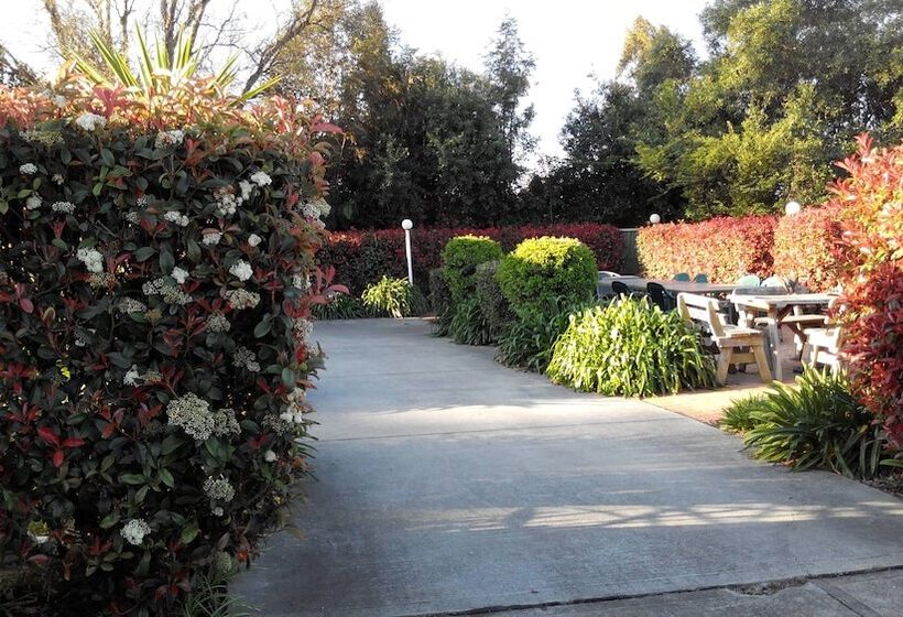 Branxton House Motel