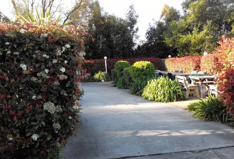 Branxton House Motel