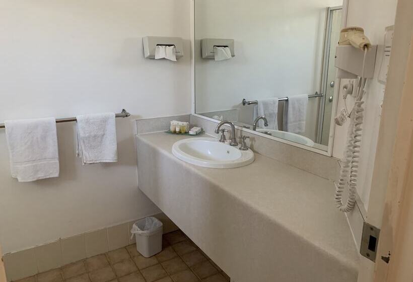 Branxton House Motel