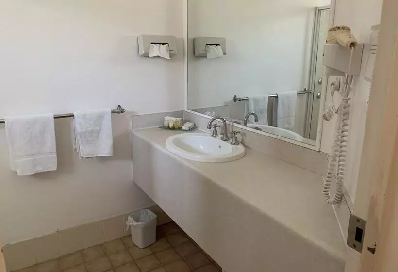 Branxton House Motel