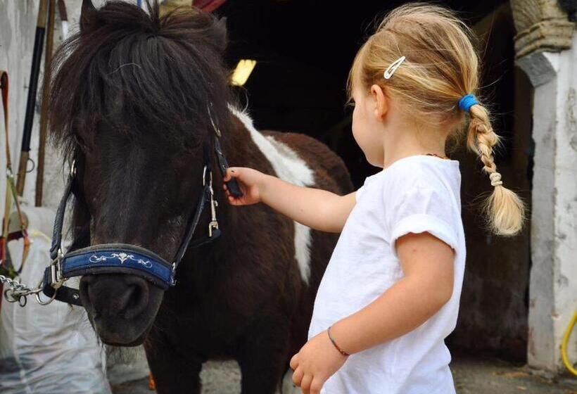 בית מלון כפרי Agriturismo Randis
