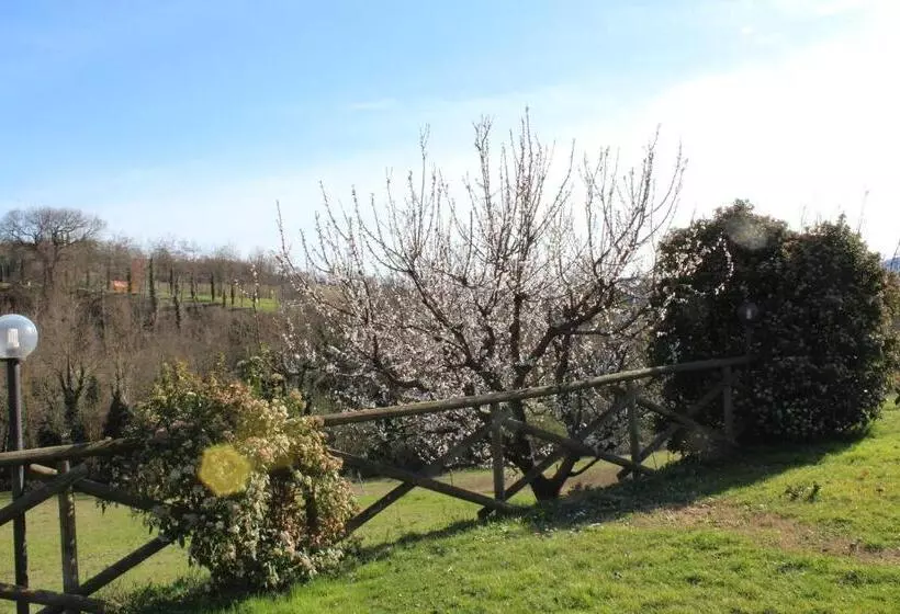 ホテル Fattoria Di Rigone