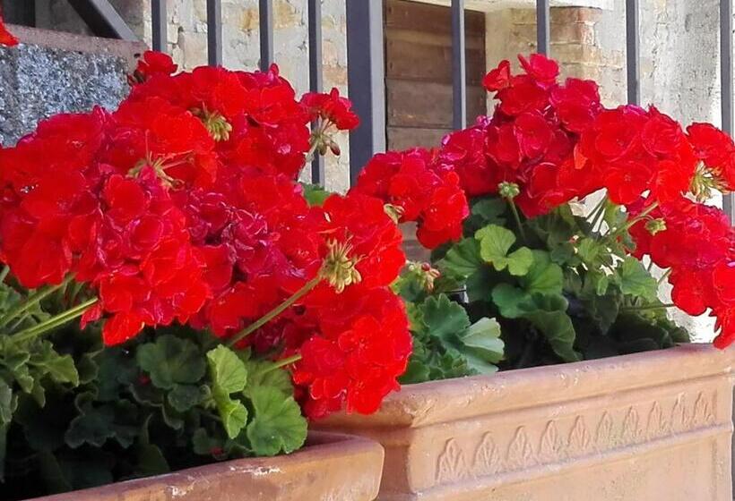 ホテル Fattoria Di Rigone