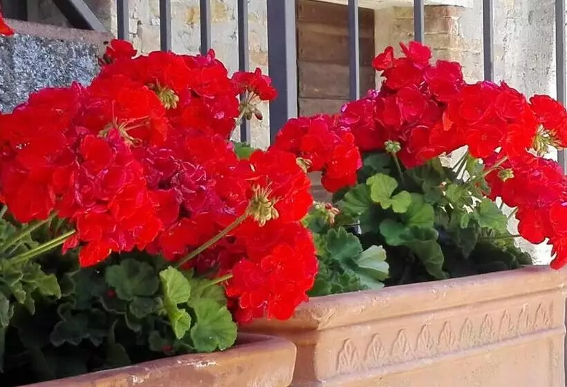 ホテル Fattoria Di Rigone