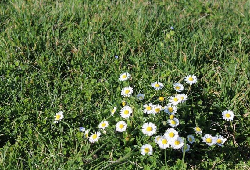 ホテル Fattoria Di Rigone