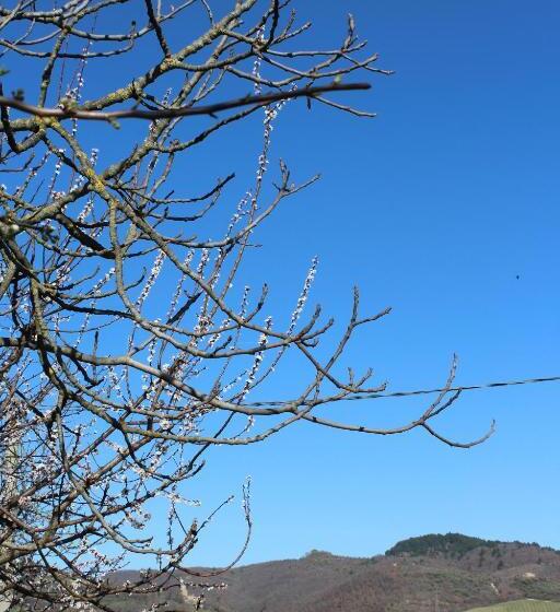 ホテル Fattoria Di Rigone