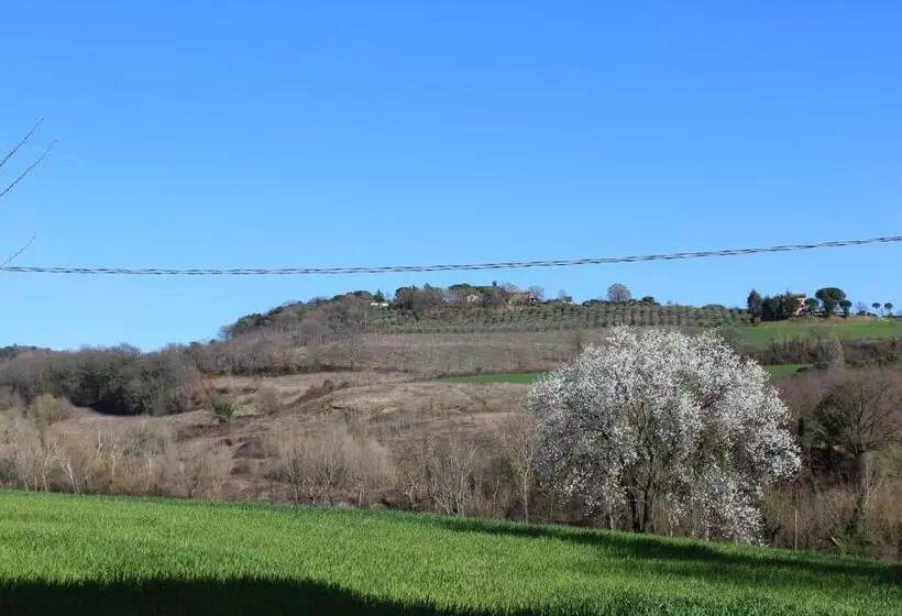 ホテル Fattoria Di Rigone
