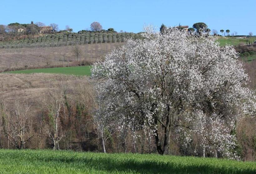 ホテル Fattoria Di Rigone