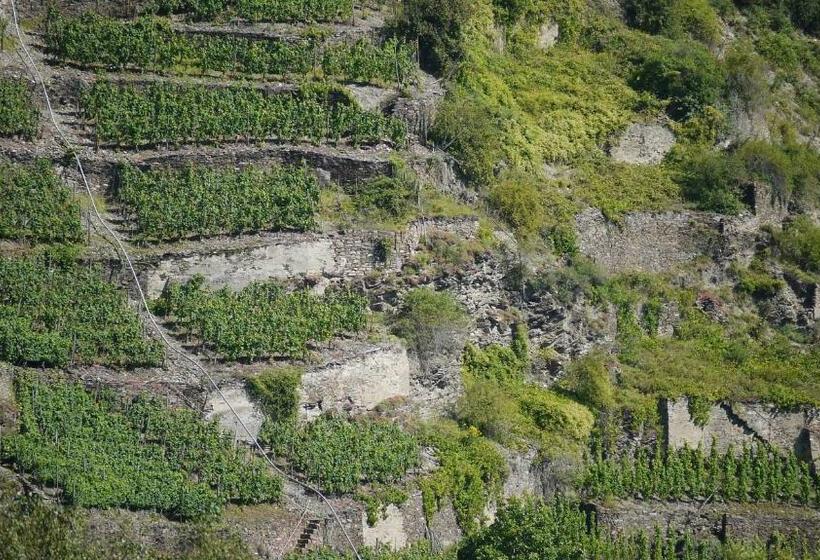 호텔 Garni Kachelburg