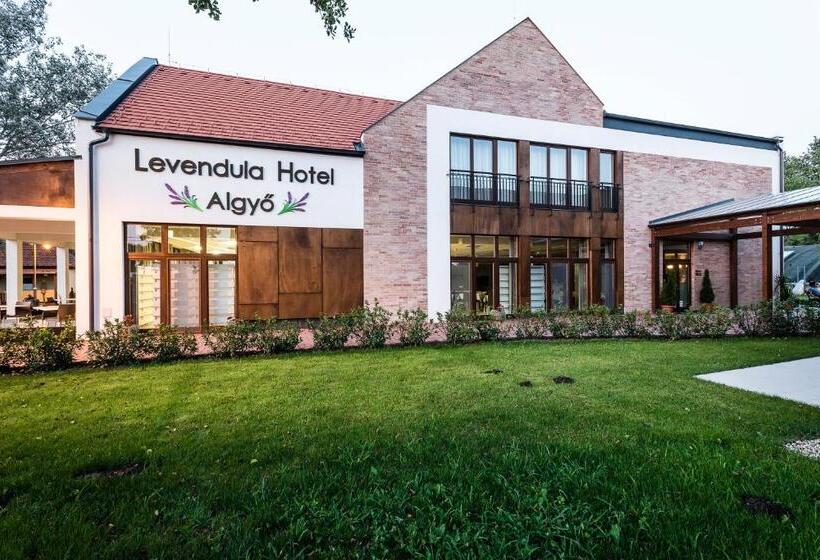 Отель Levendula