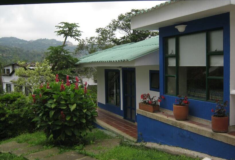 Отель Villa Paz