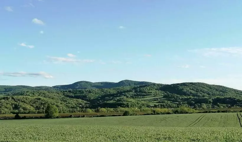ペンション Carolina Vendégház
