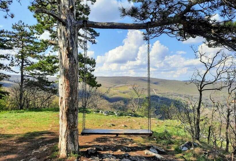 Пансион Carolina Vendégház