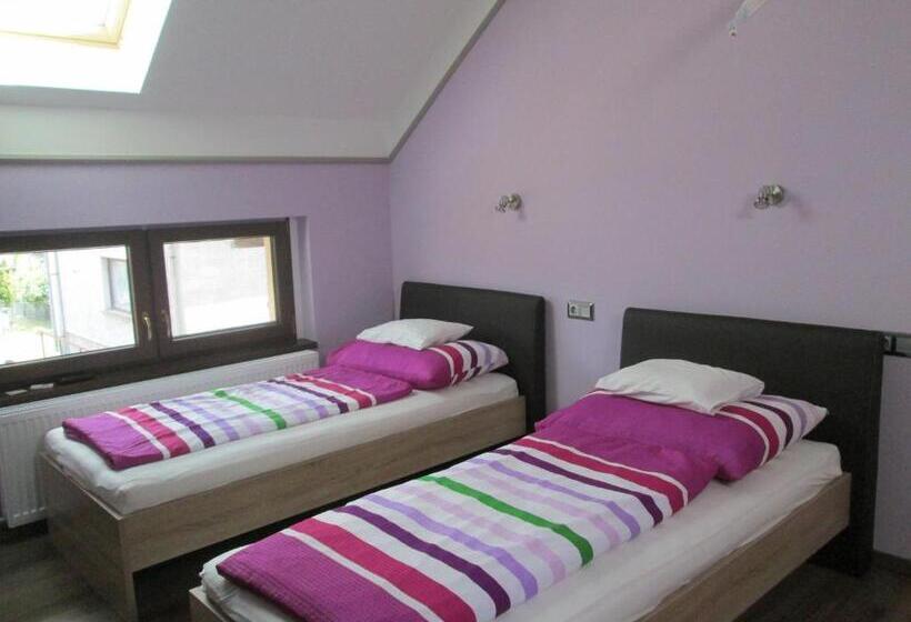 ペンション Erika Vendégház