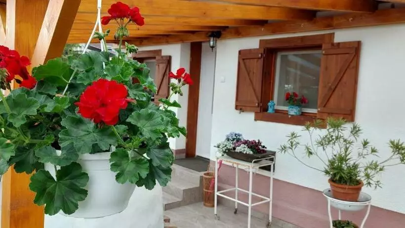 Majatalo Small House Apartment