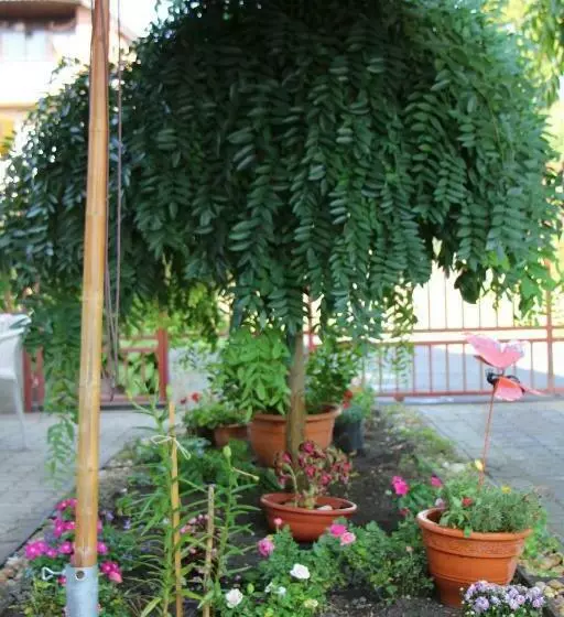 Majatalo Small House Apartment